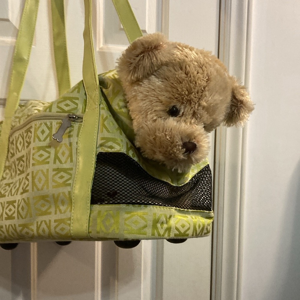 Small Pet light green carrier tote in like-new condition with front pocket - Picture 6 of 12